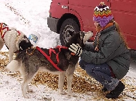 2003 schlittenhunde032.jpg